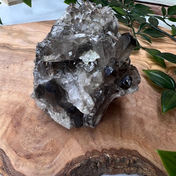 1 lb Double Sided Raw Smoky Quartz Crystal Cluster - A+ Collector Quality - Picture 12 of 13